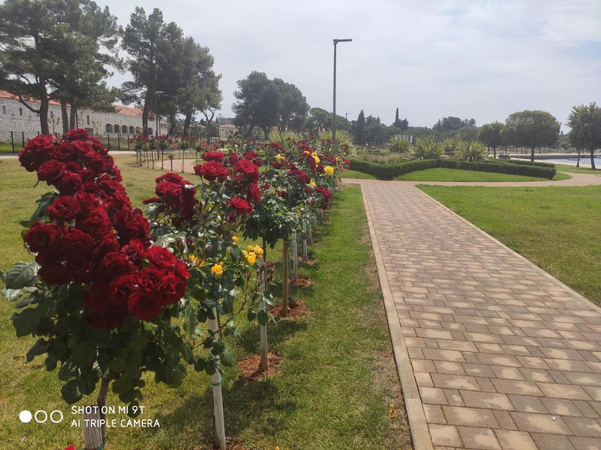 Bluemarine Apartment Umag Ngoại thất bức ảnh